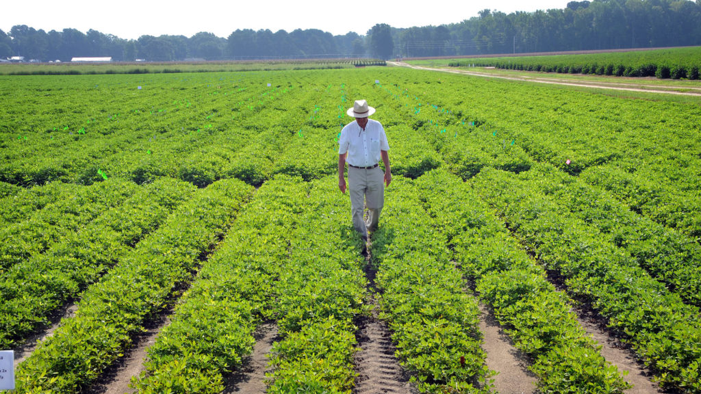 Financial Support Programs for N.C. Farm Operations During ...